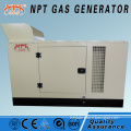 15 kW Natural gas\Biogas\Biomass gas\coal gas generator